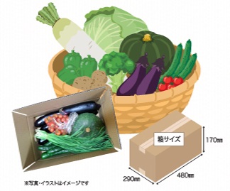 けんちゃんのお野菜セットの商品イメージ