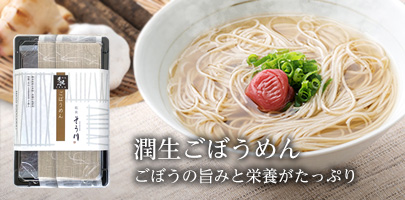 乾麺ごぼうめん｜ごぼうの旨みと栄養がたっぷり